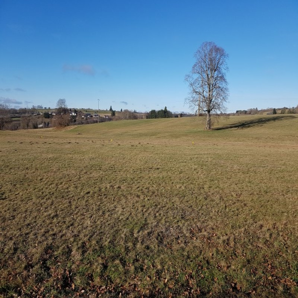Offres de vente Terrain Saint-Sauves-d'Auvergne 63950