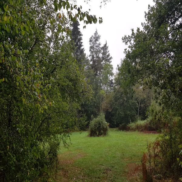 Offres de vente Terrain Messeix 63750
